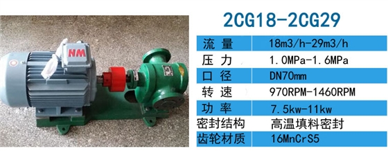 2CG-18高温齿轮泵