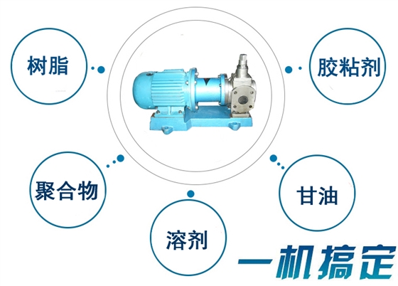 不锈钢磁力齿轮泵用途