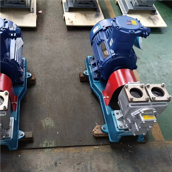 不锈钢齿轮泵 不锈钢齿轮泵