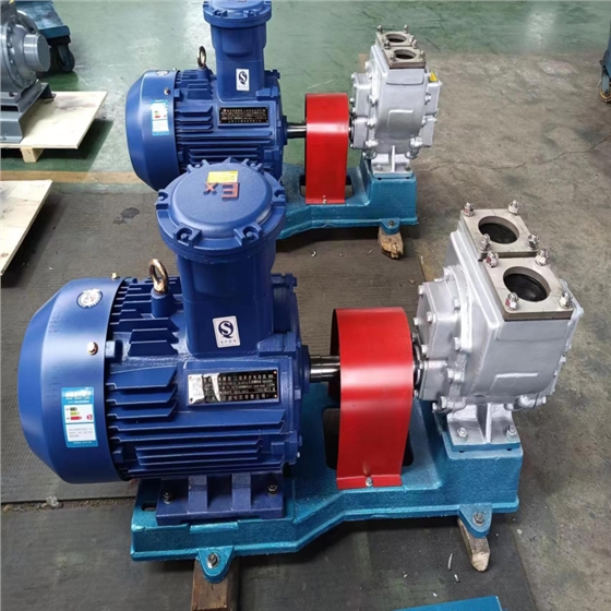 不锈钢齿轮泵 不锈钢齿轮泵