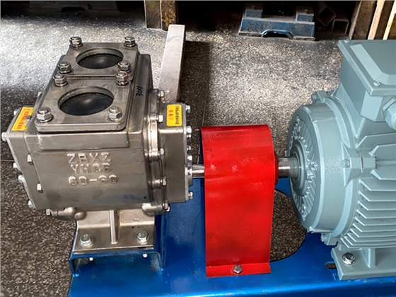 不锈钢齿轮泵 不锈钢齿轮泵