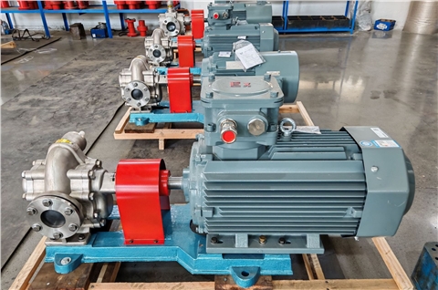 KCB-300不锈钢齿轮泵 KCB-300不锈钢齿轮泵