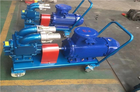 食用油卸车泵80YHCB不锈钢齿轮泵