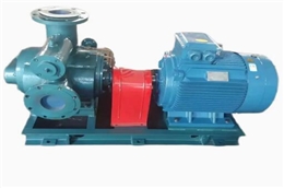 W6.5ZI-90双螺杆泵沥青泵