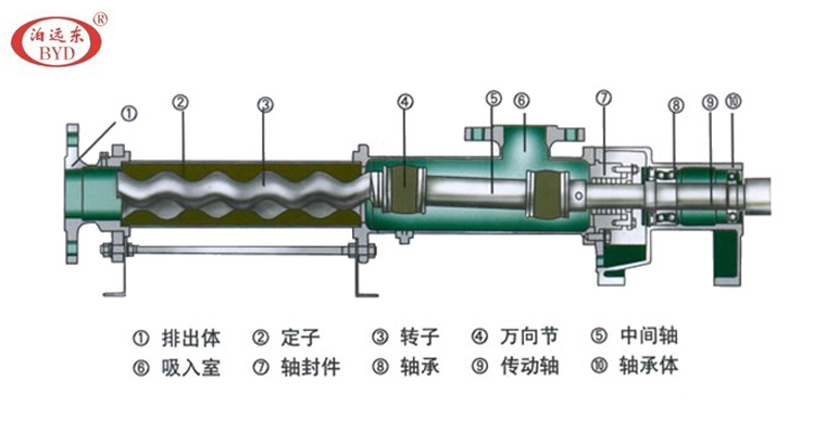 G单螺杆泵结构